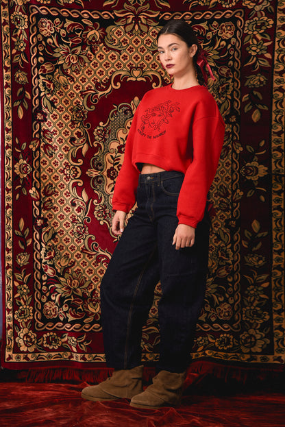 Petrify the Patriarchy - Red Crop Hoodie